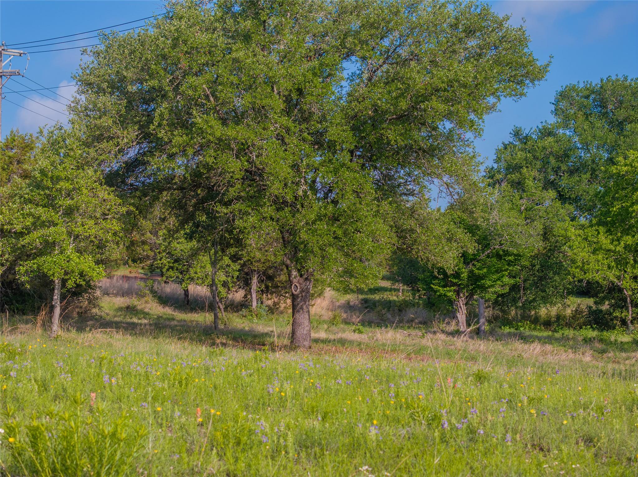 000 Cr103 Burnet TX 76550