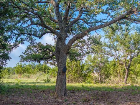 000 Cr103 Burnet TX 76550