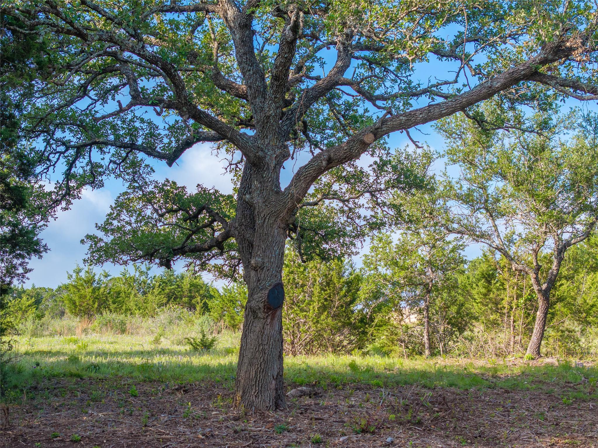 000 Cr103 Burnet TX 76550