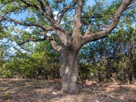 000 Cr103 Burnet TX 76550