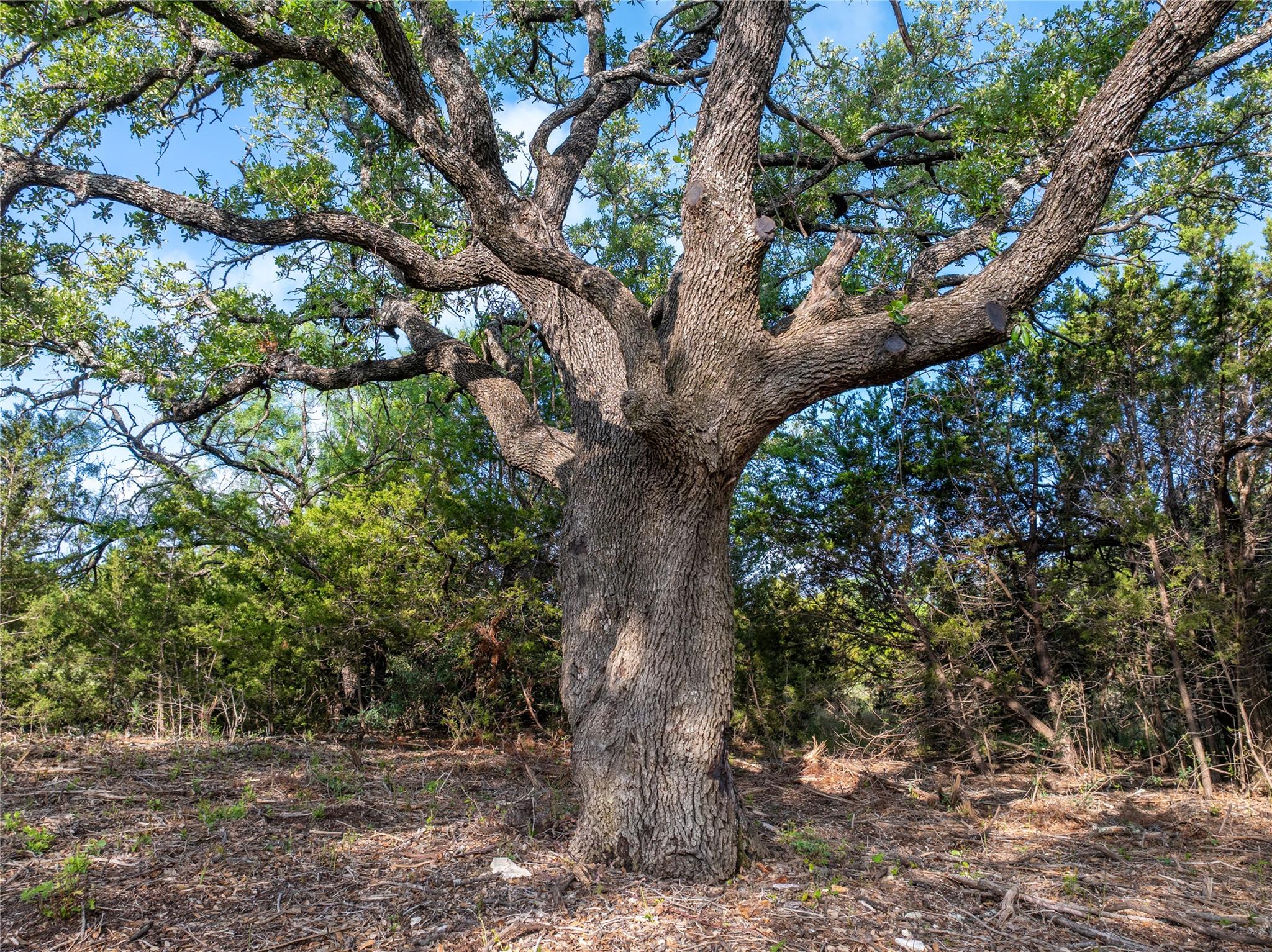 000 Cr103 Burnet TX 76550