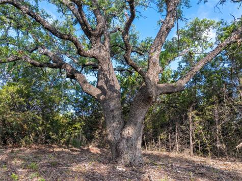 000 Cr103 Burnet TX 76550