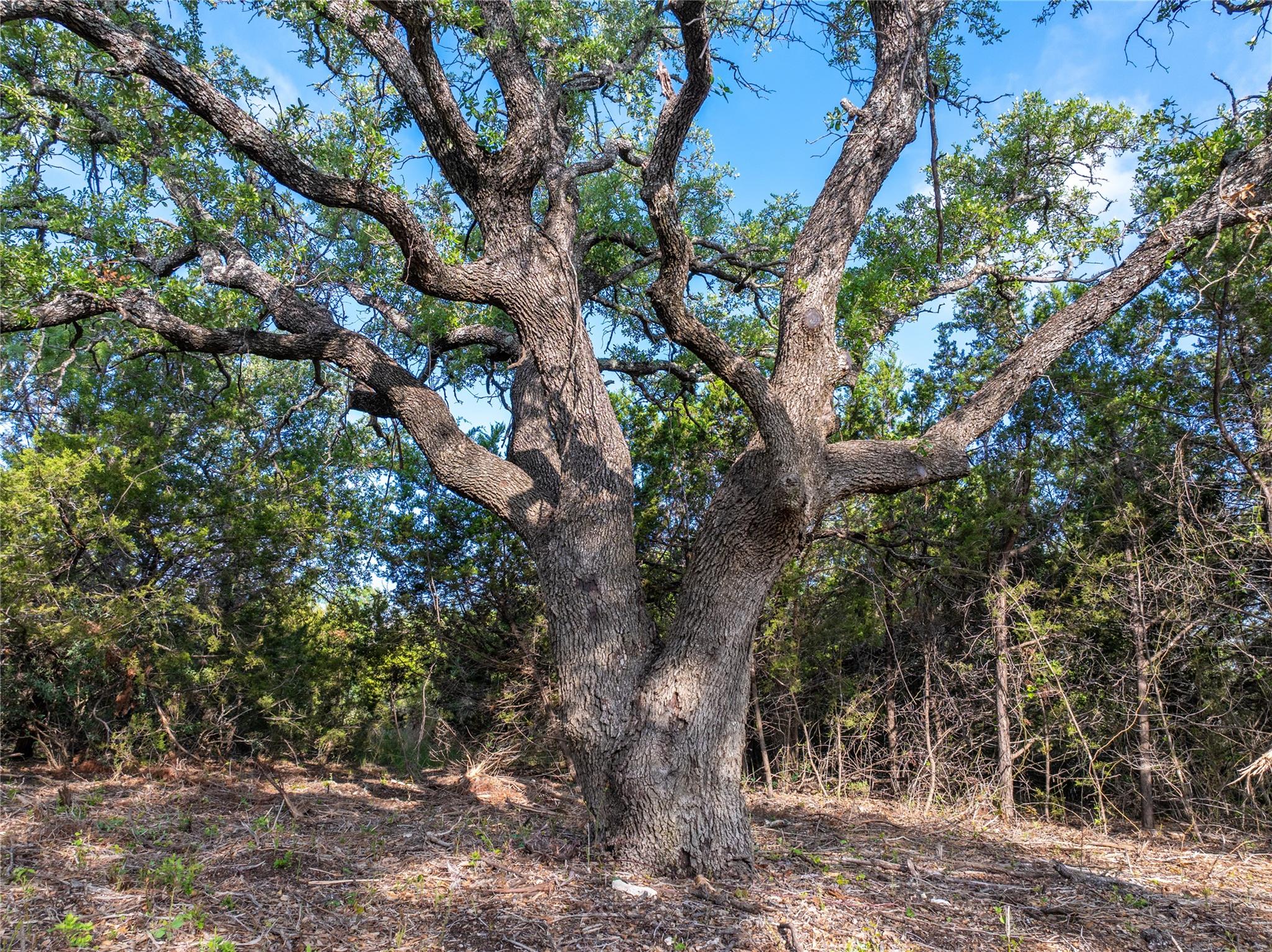 000 Cr103 Burnet TX 76550