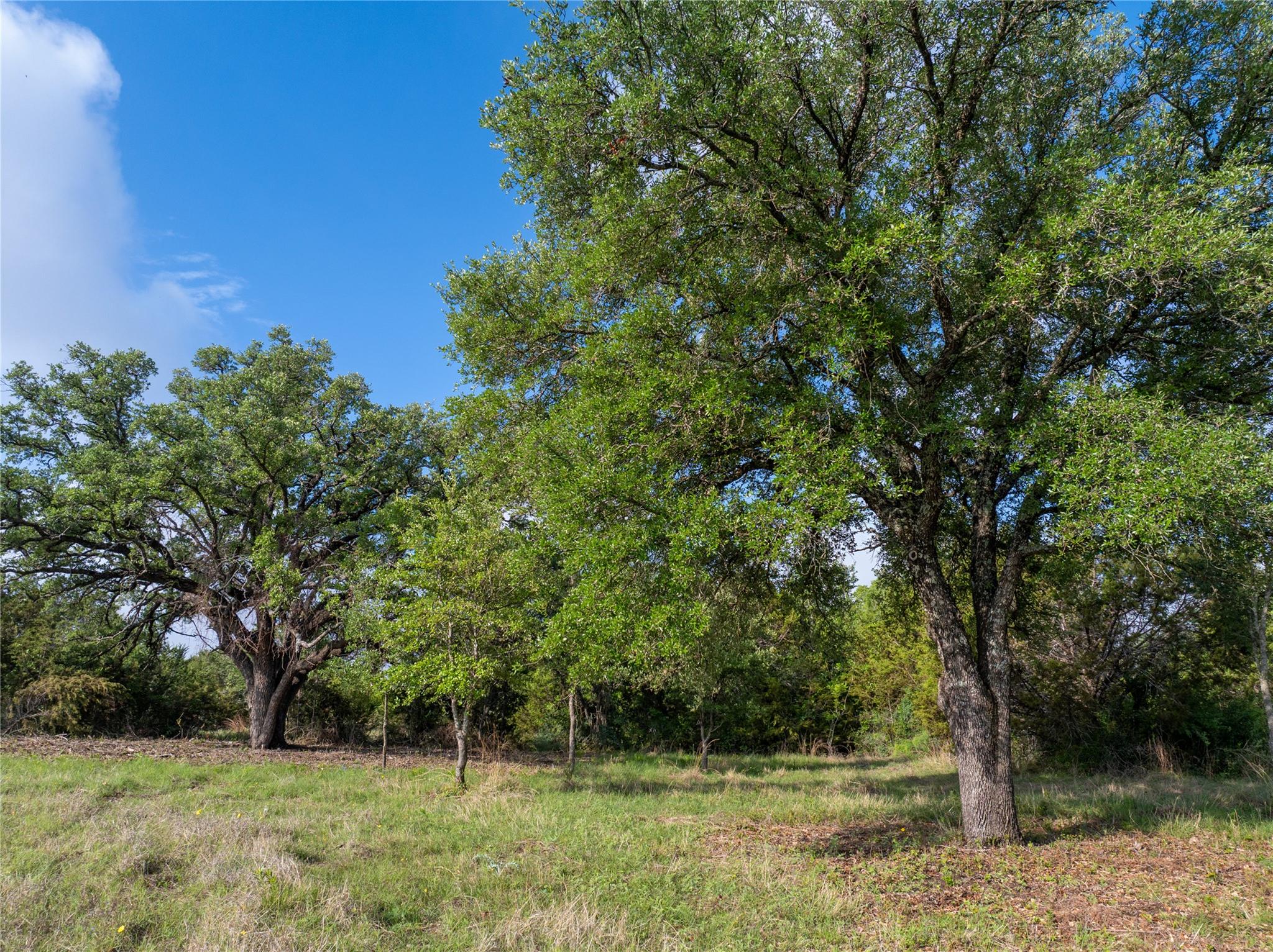 000 Cr103 Burnet TX 76550