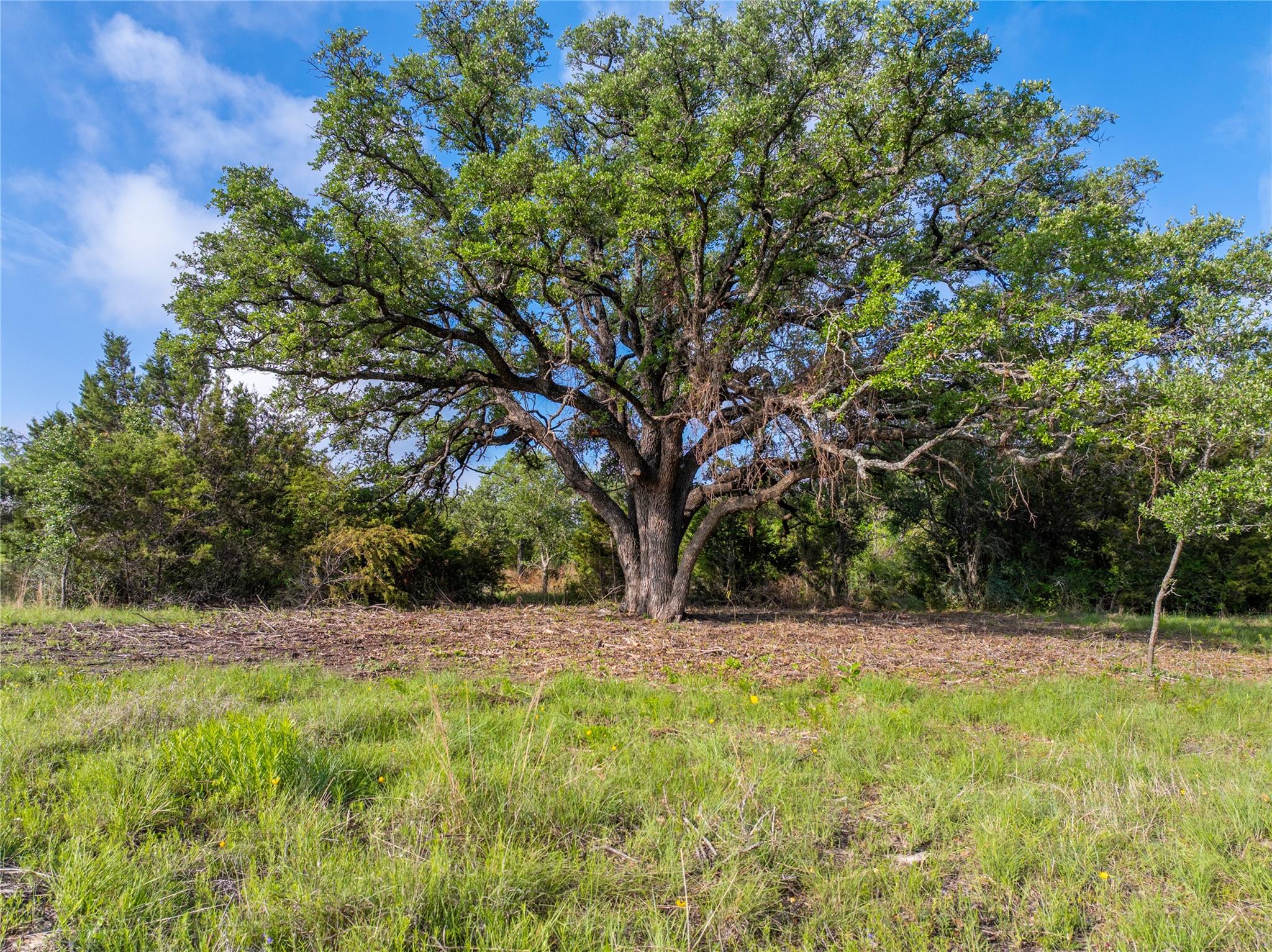 000 Cr103 Burnet TX 76550