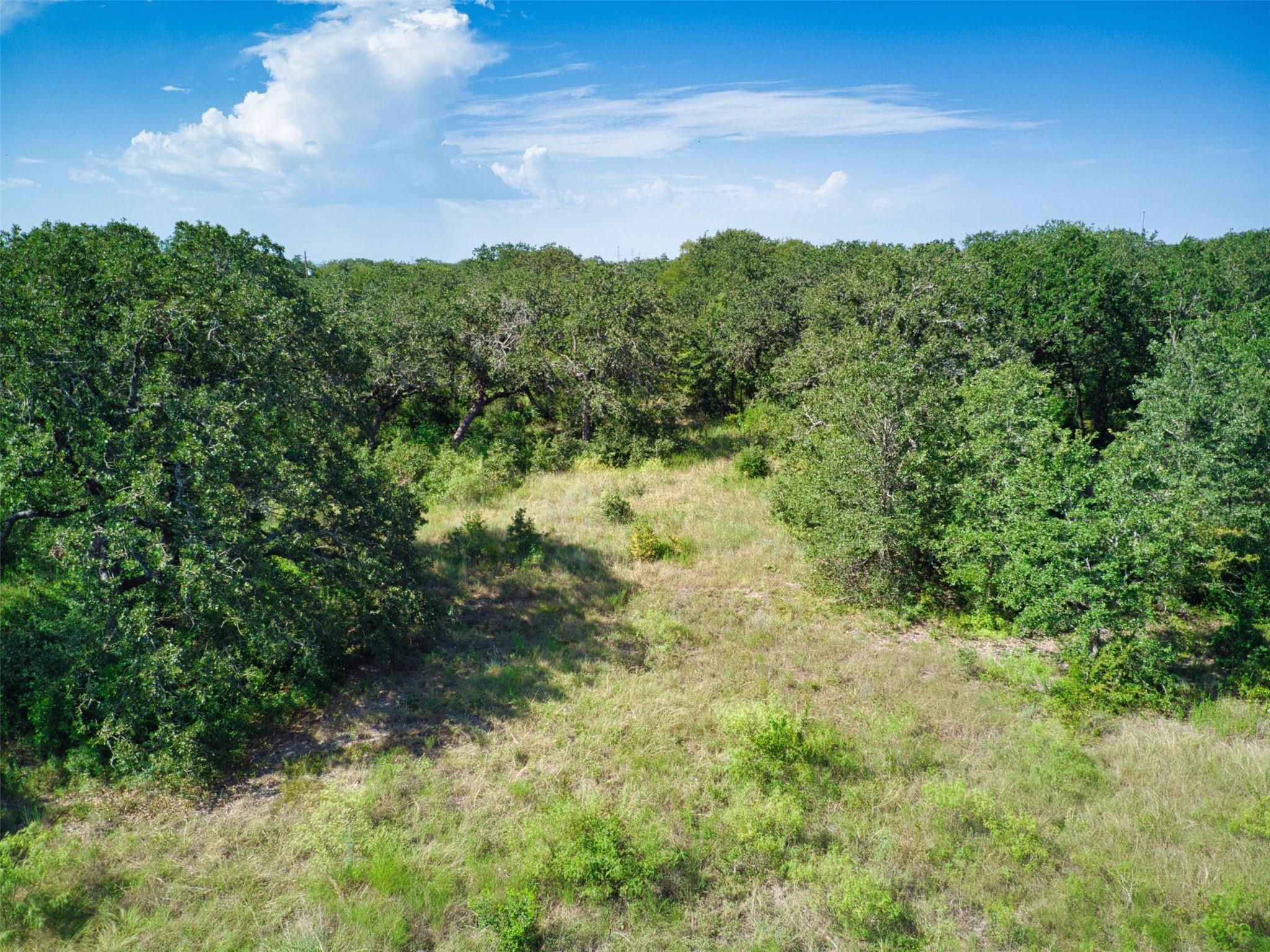 14901 Hog Eye Road Manor TX 78653
