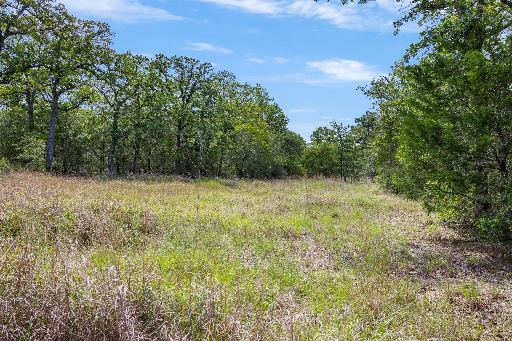 Tbd Anders-daniels Road La Grange TX 78945