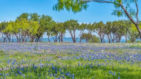 3531 Rr 3347 - Lot 11 Round Mountain TX 78663