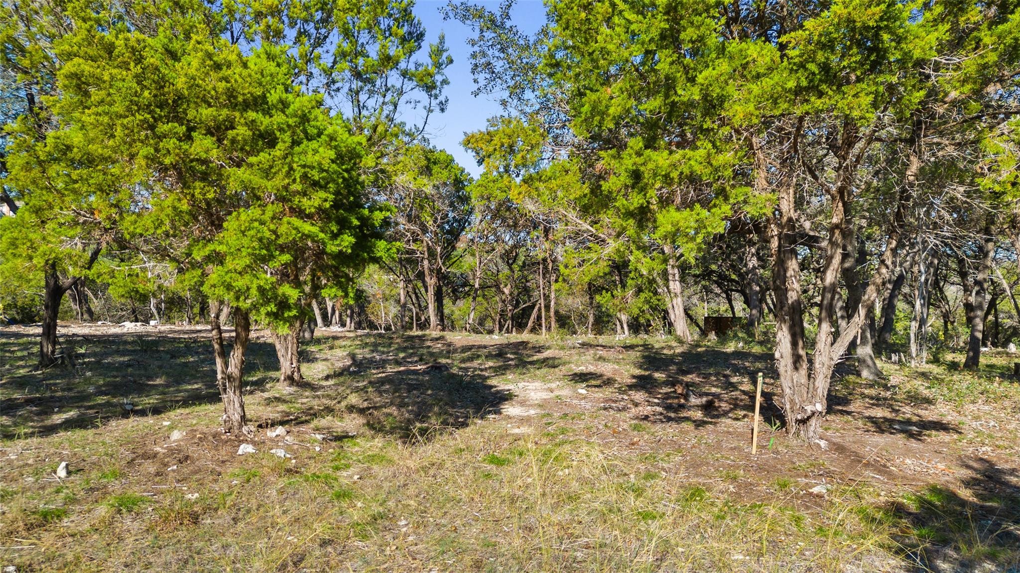 2 Martelli Lane Austin TX 78746