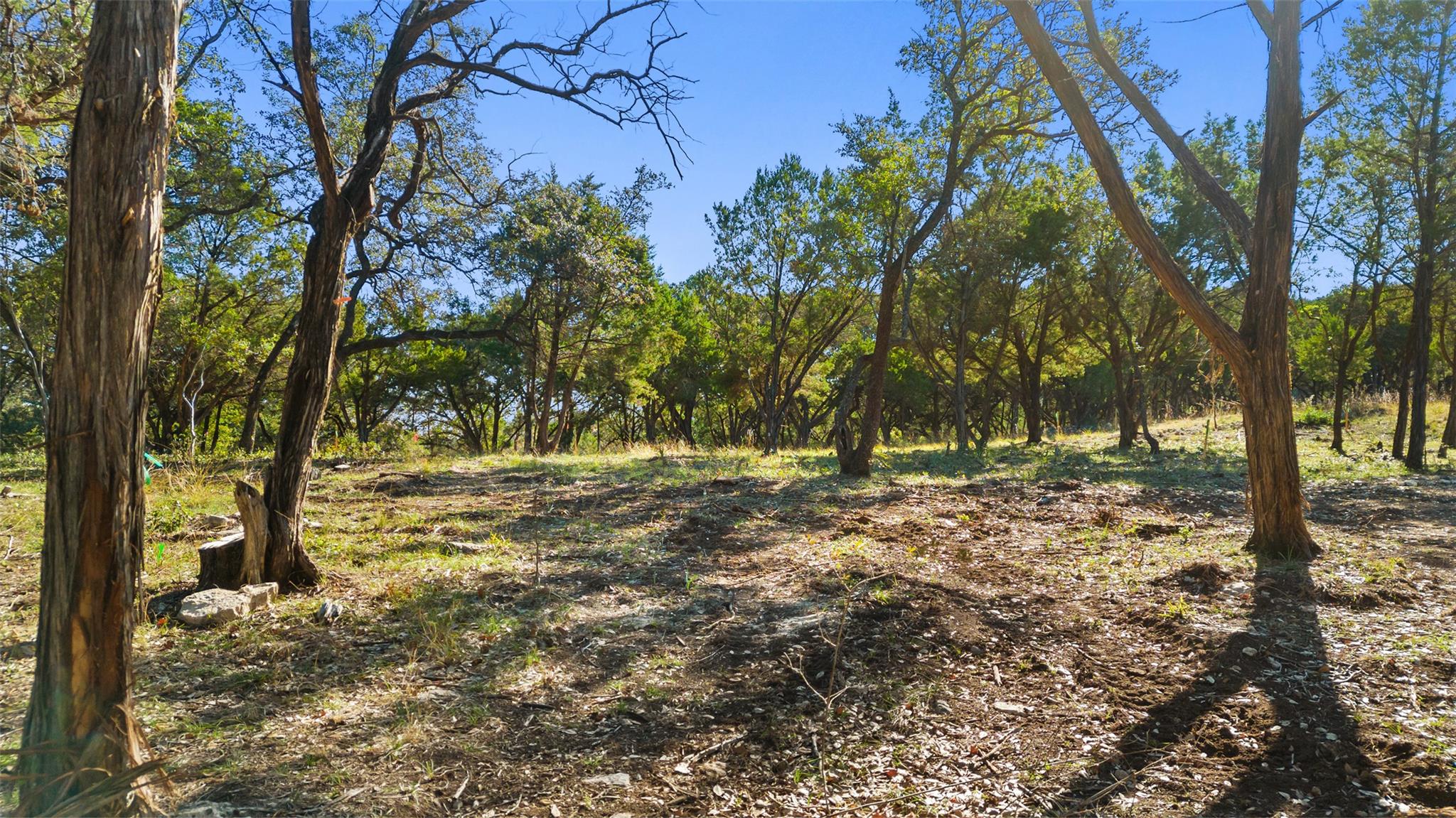 2 Martelli Lane Austin TX 78746