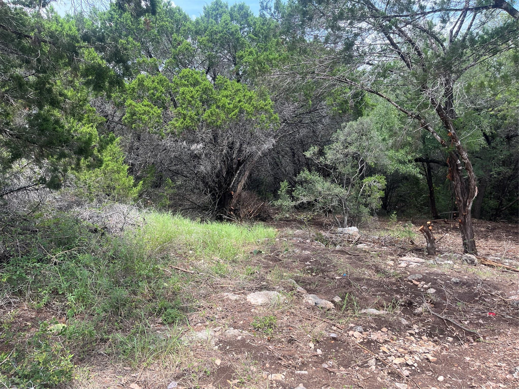 7413 Spanish Oak Drive Lago Vista TX 78645