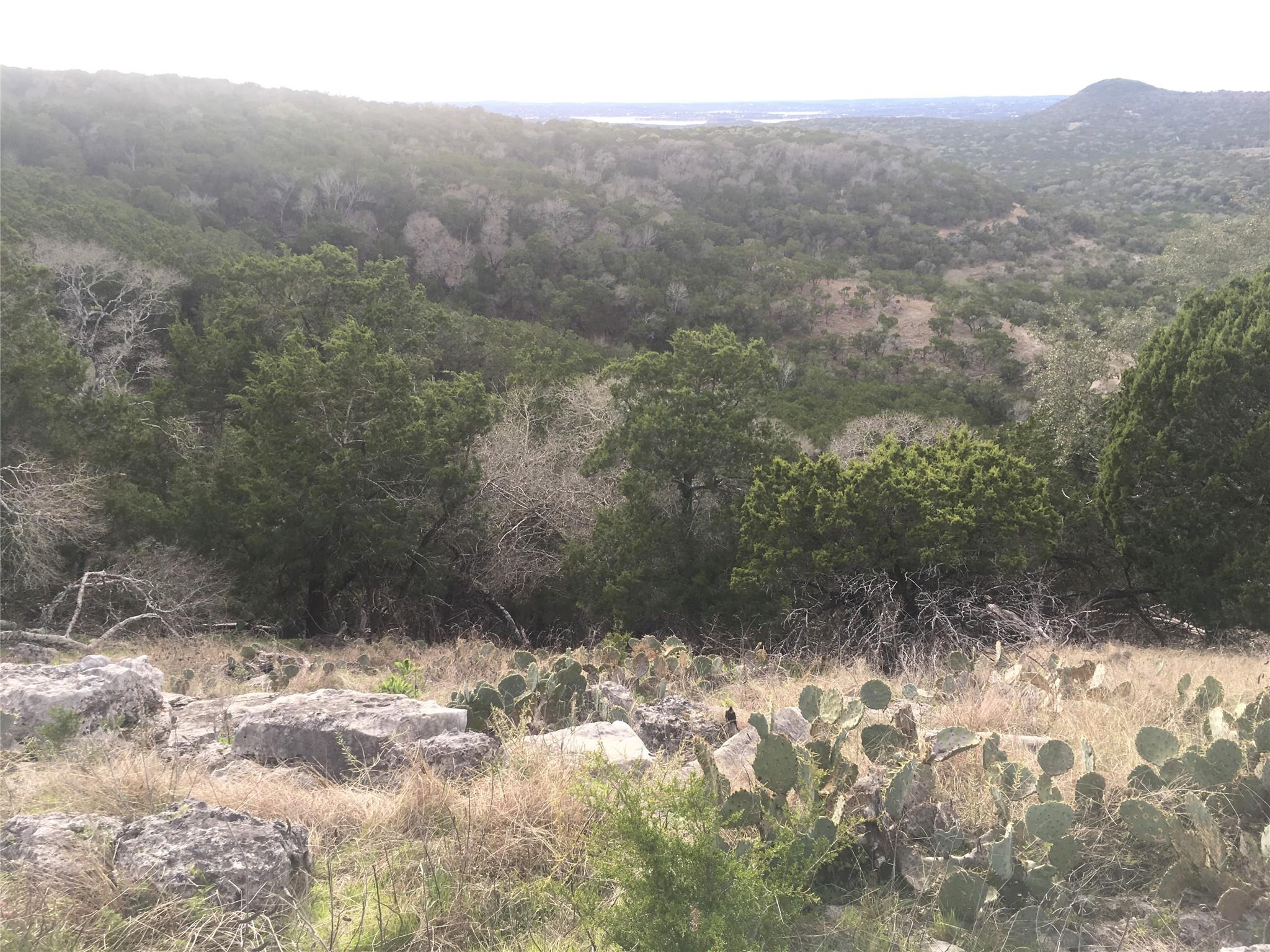 1350 Serenity Drive Fischer TX 78623
