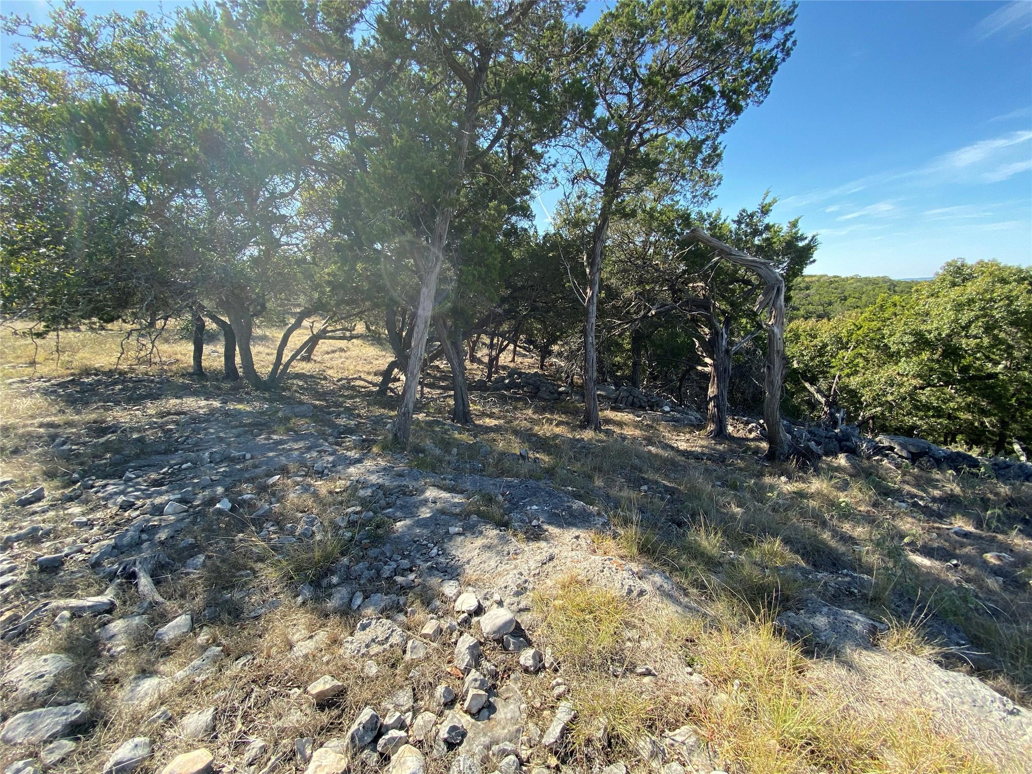 1350 Serenity Drive Fischer TX 78623