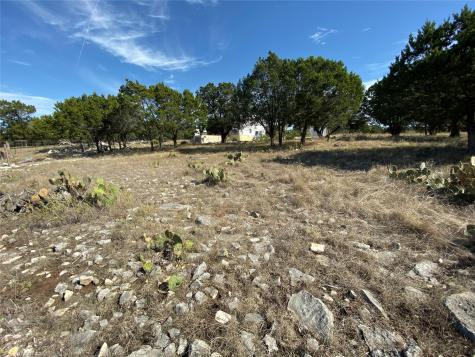 1350 Serenity Drive Fischer TX 78623