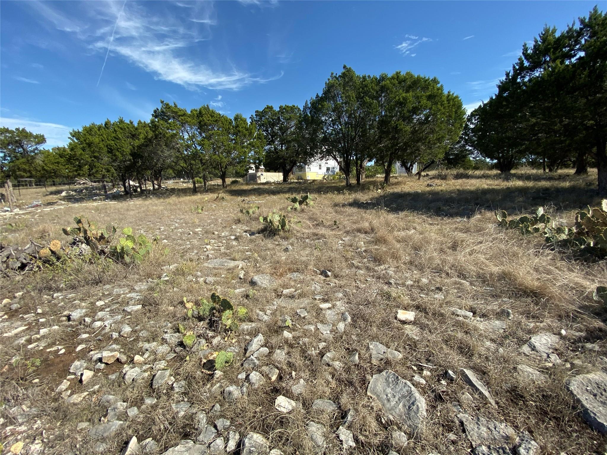 1350 Serenity Drive Fischer TX 78623