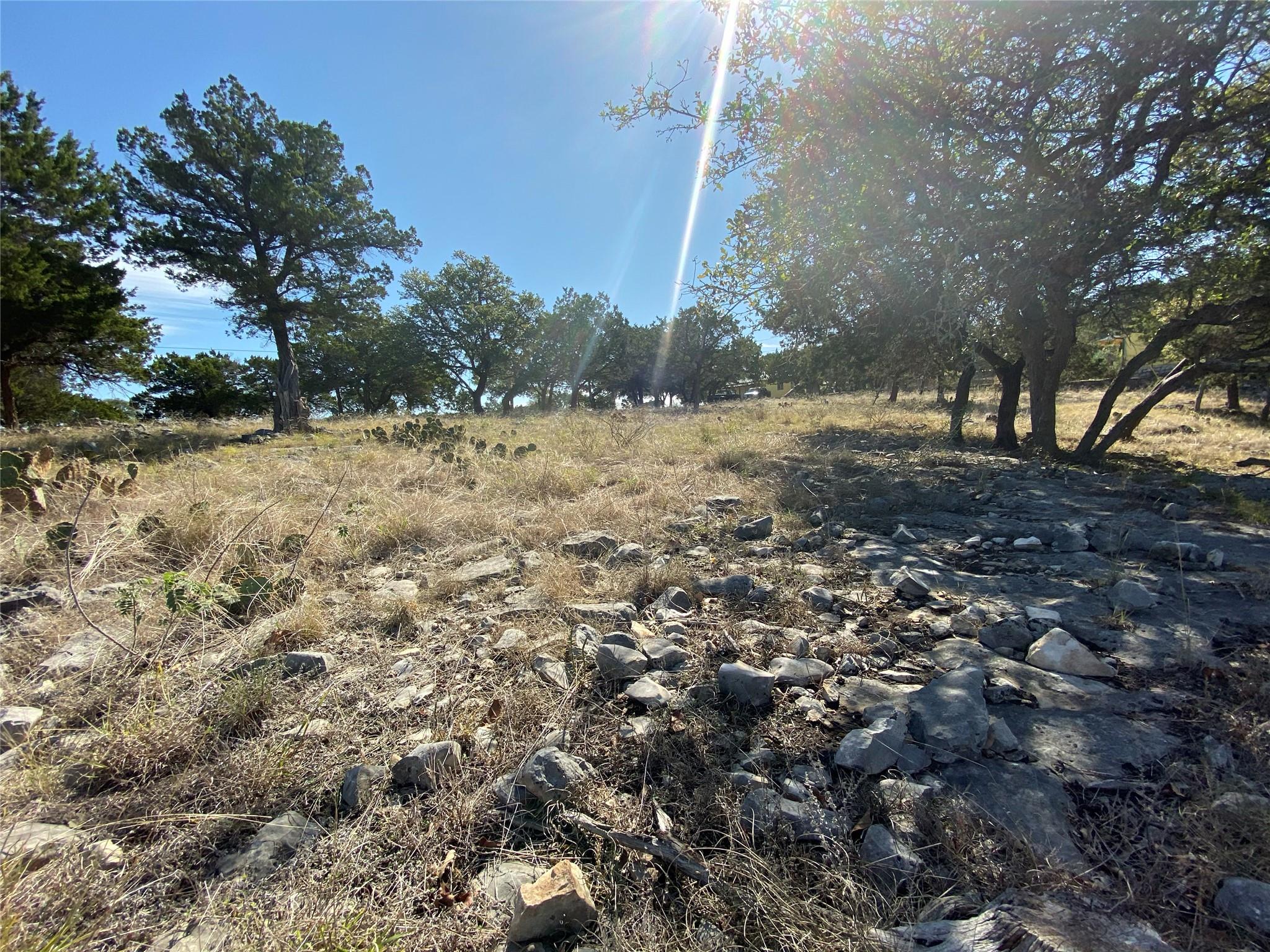1350 Serenity Drive Fischer TX 78623