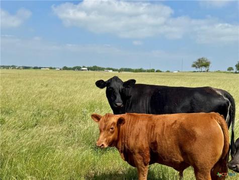 17 Acres Smith Dairy Road Belton TX 76513