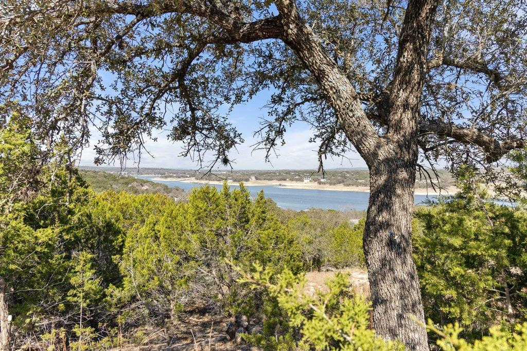 10 Thurman Bluff Drive Spicewood TX 78669