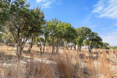 10 Thurman Bluff Drive Spicewood TX 78669