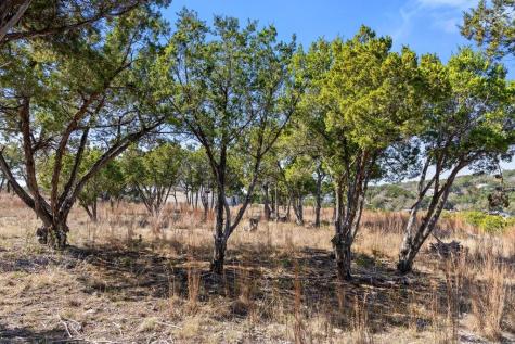 10 Thurman Bluff Drive Spicewood TX 78669