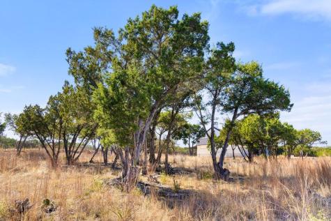 10 Thurman Bluff Drive Spicewood TX 78669