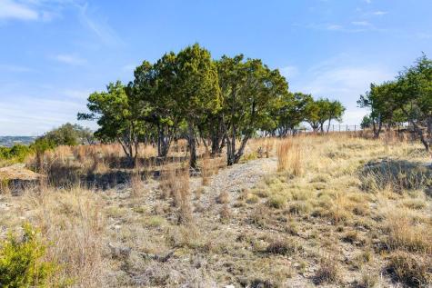 10 Thurman Bluff Drive Spicewood TX 78669