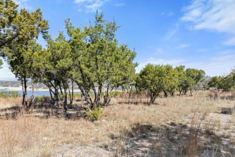 10 Thurman Bluff Drive Spicewood TX 78669