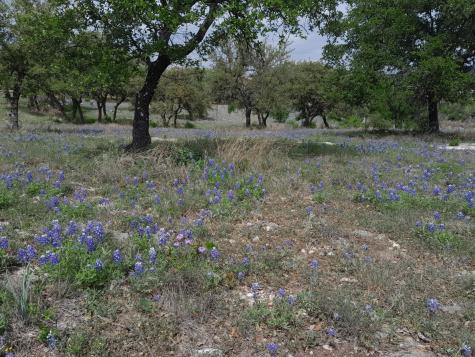 3103 Stableford Cove Spicewood TX 78669