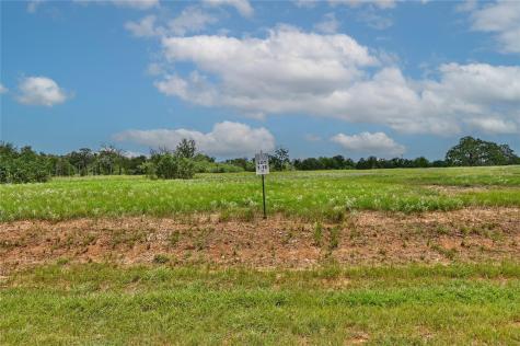 Tbd 1-13 (2.0 Acres) New Moon Court Red Rock TX 78662