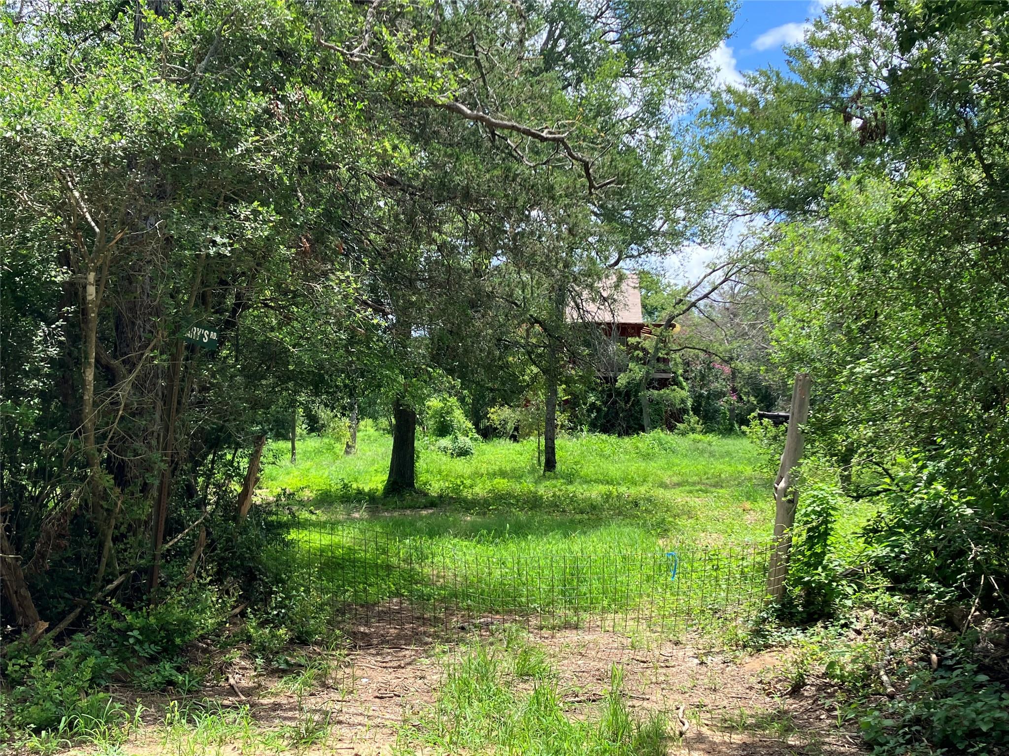 693 Saint Mary's Road Rosanky TX 78953