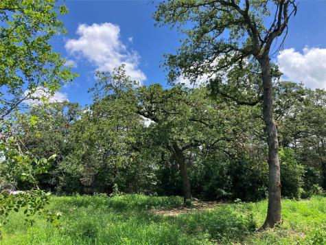 693 Saint Mary's Road Rosanky TX 78953