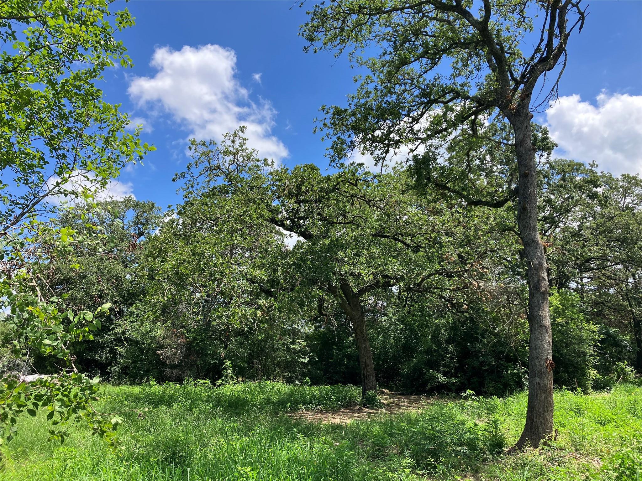 693 Saint Mary's Road Rosanky TX 78953