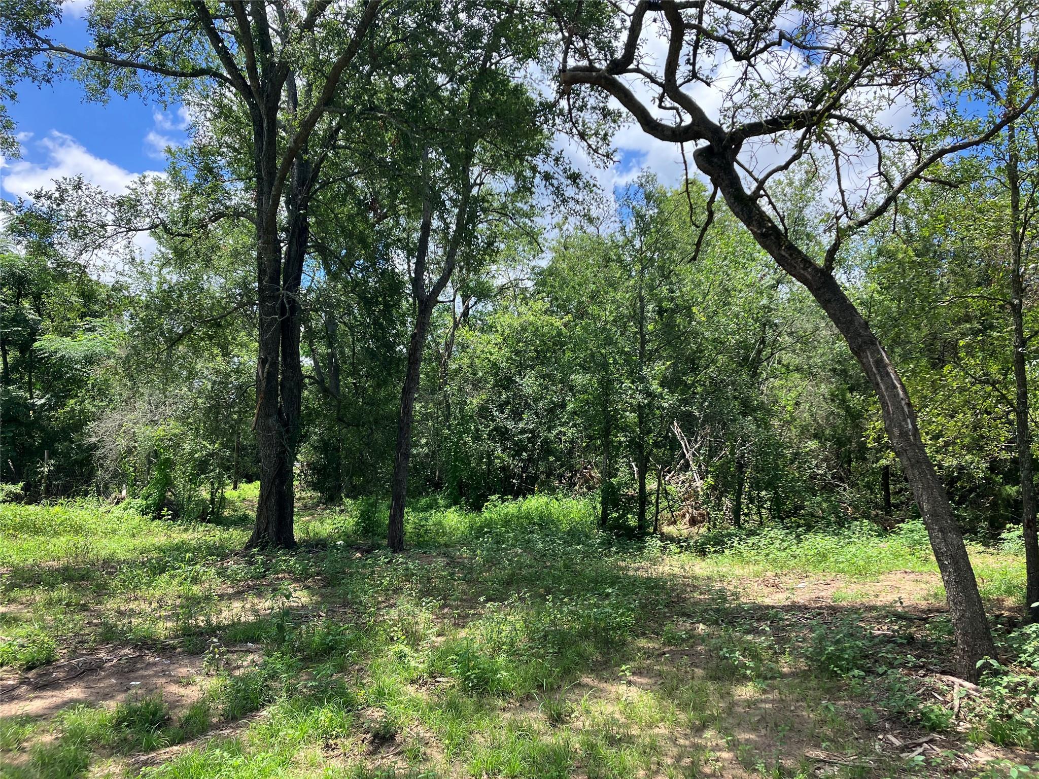 693 Saint Mary's Road Rosanky TX 78953