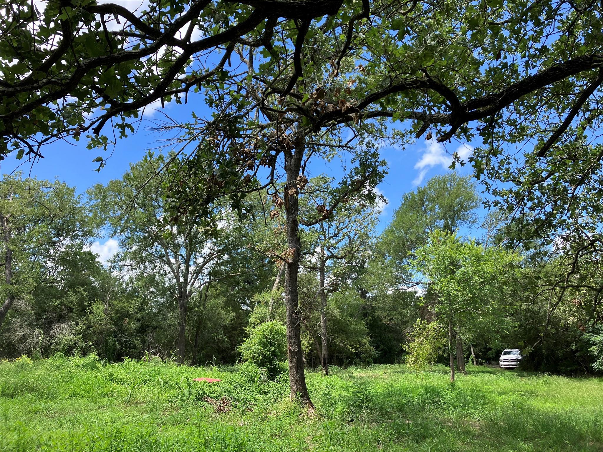 693 Saint Mary's Road Rosanky TX 78953