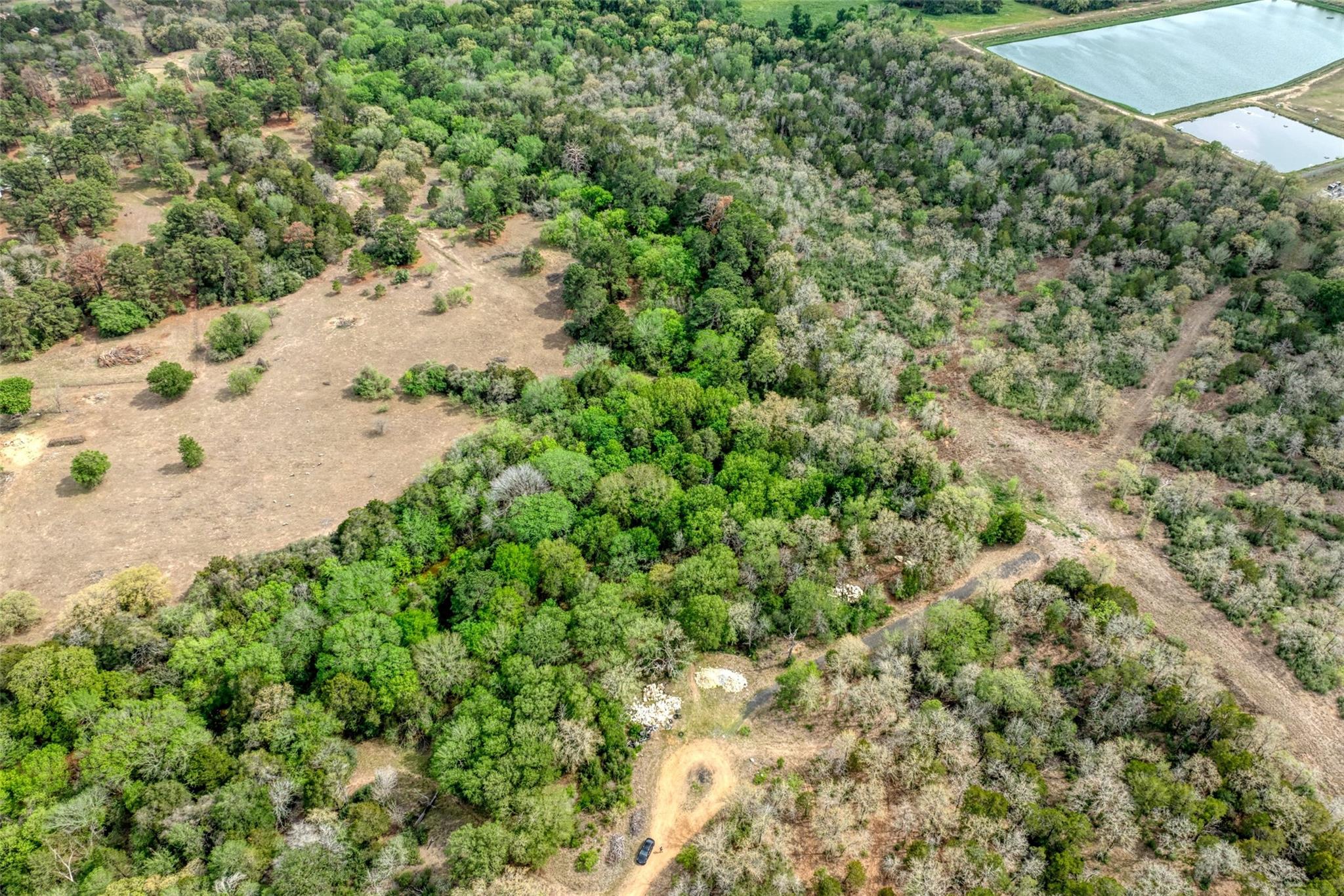 Tbd Ripple Brook Drive Bastrop TX 78602