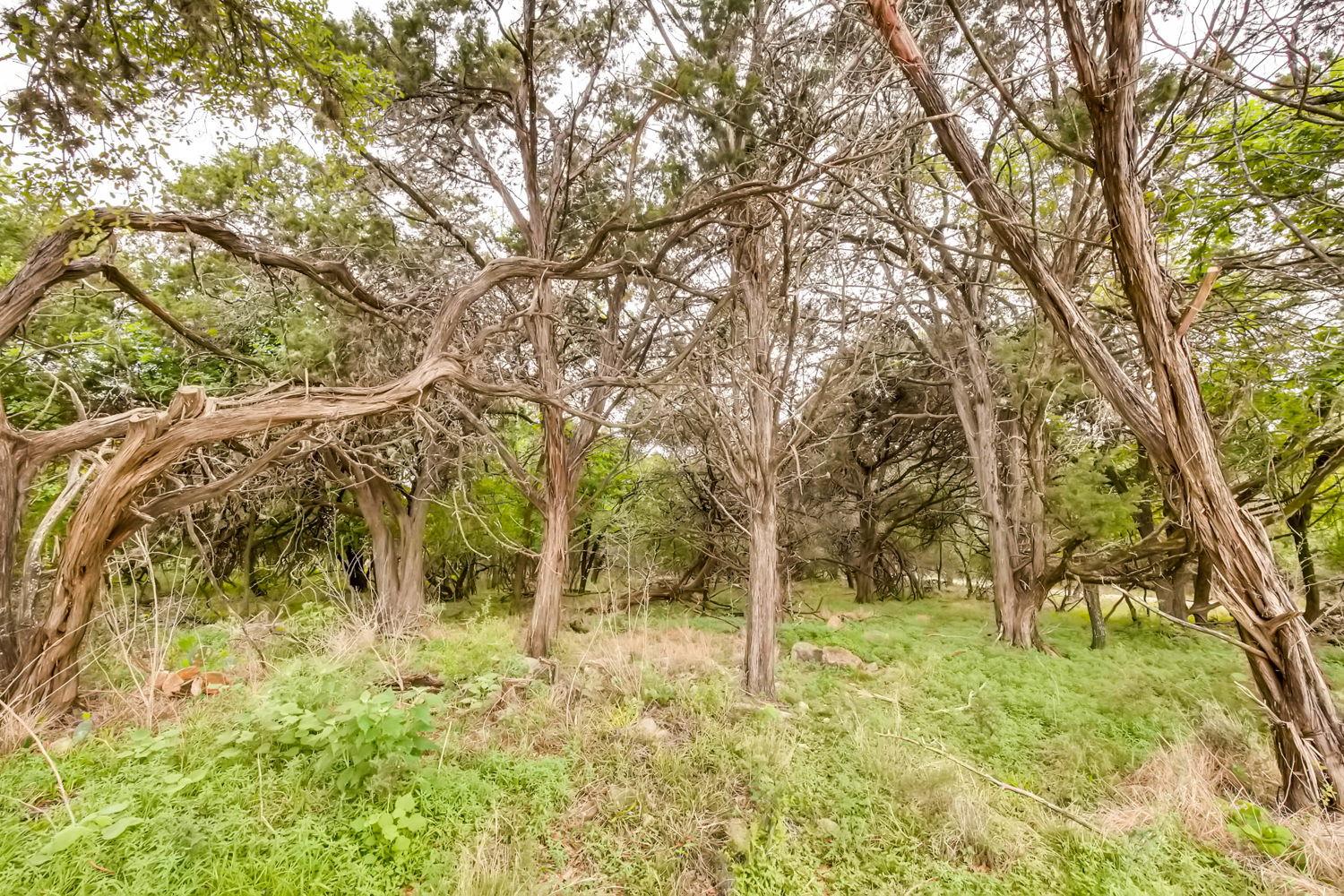 0 Ervendberg Avenue New Braunfels TX 78130