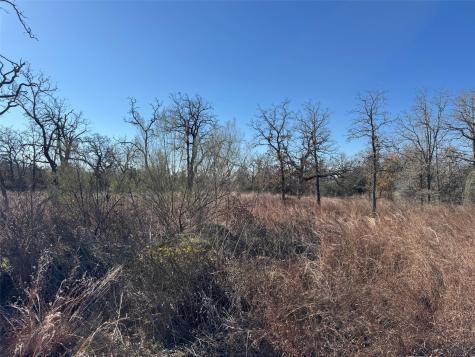 Tbd Marjess Drive Cedar Creek TX 78612