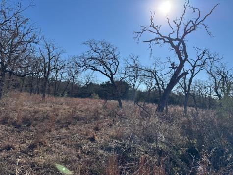 Tbd Marjess Drive Cedar Creek TX 78612