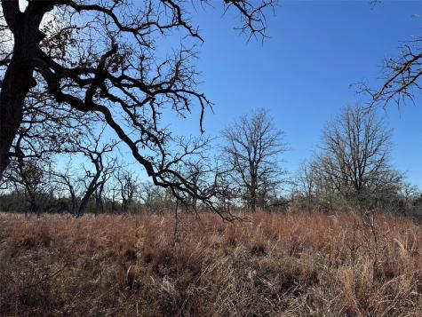 Tbd Marjess Drive Cedar Creek TX 78612