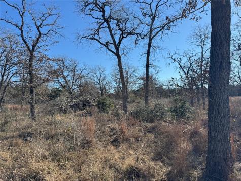 Tbd Marjess Drive Cedar Creek TX 78612