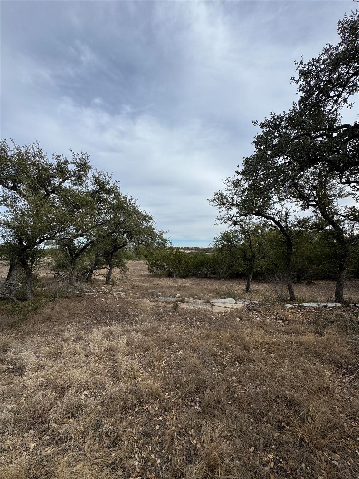 116 Legacy Hills Drive Johnson City TX 78636