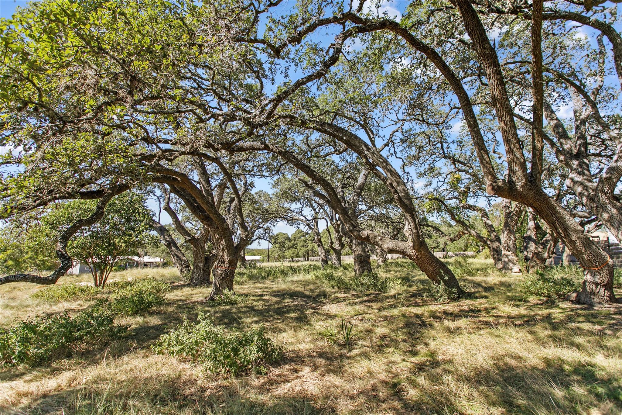 1316 Greenlawn Parkway Blanco TX 78606
