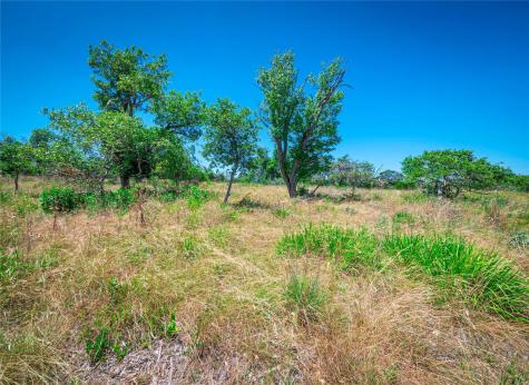 Lot 61 Canyons Drive Fredericksburg TX 78624