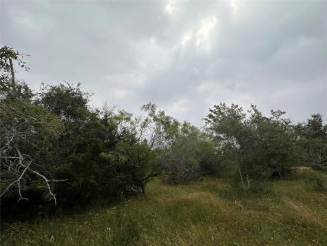 Lot 3 Private Road 4601 Waelder TX 78959