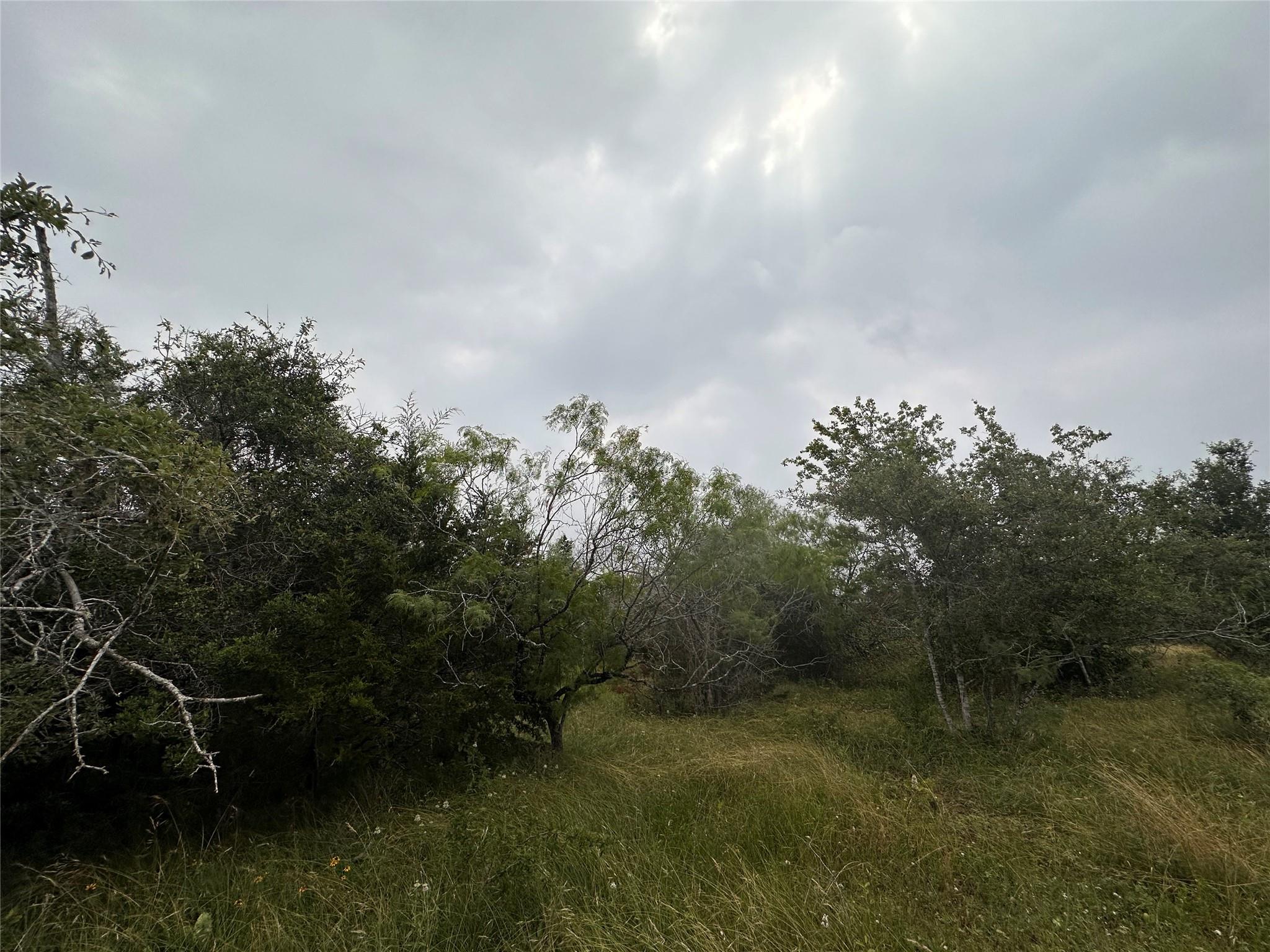 Lot 3 Private Road 4601 Waelder TX 78959