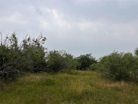 Lot 3 Private Road 4601 Waelder TX 78959