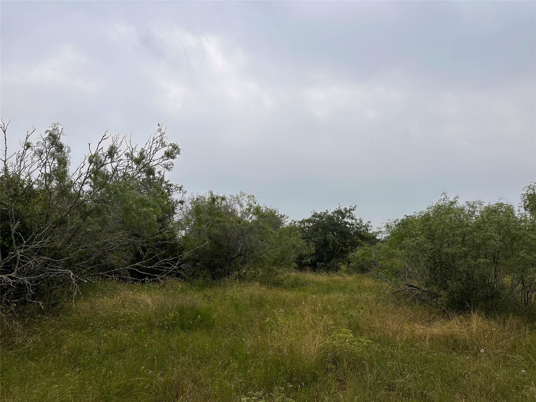 Lot 3 Private Road 4601 Waelder TX 78959