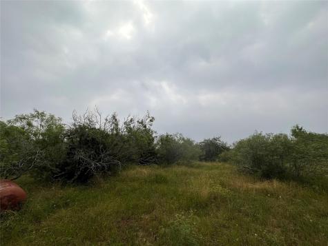 Lot 3 Private Road 4601 Waelder TX 78959