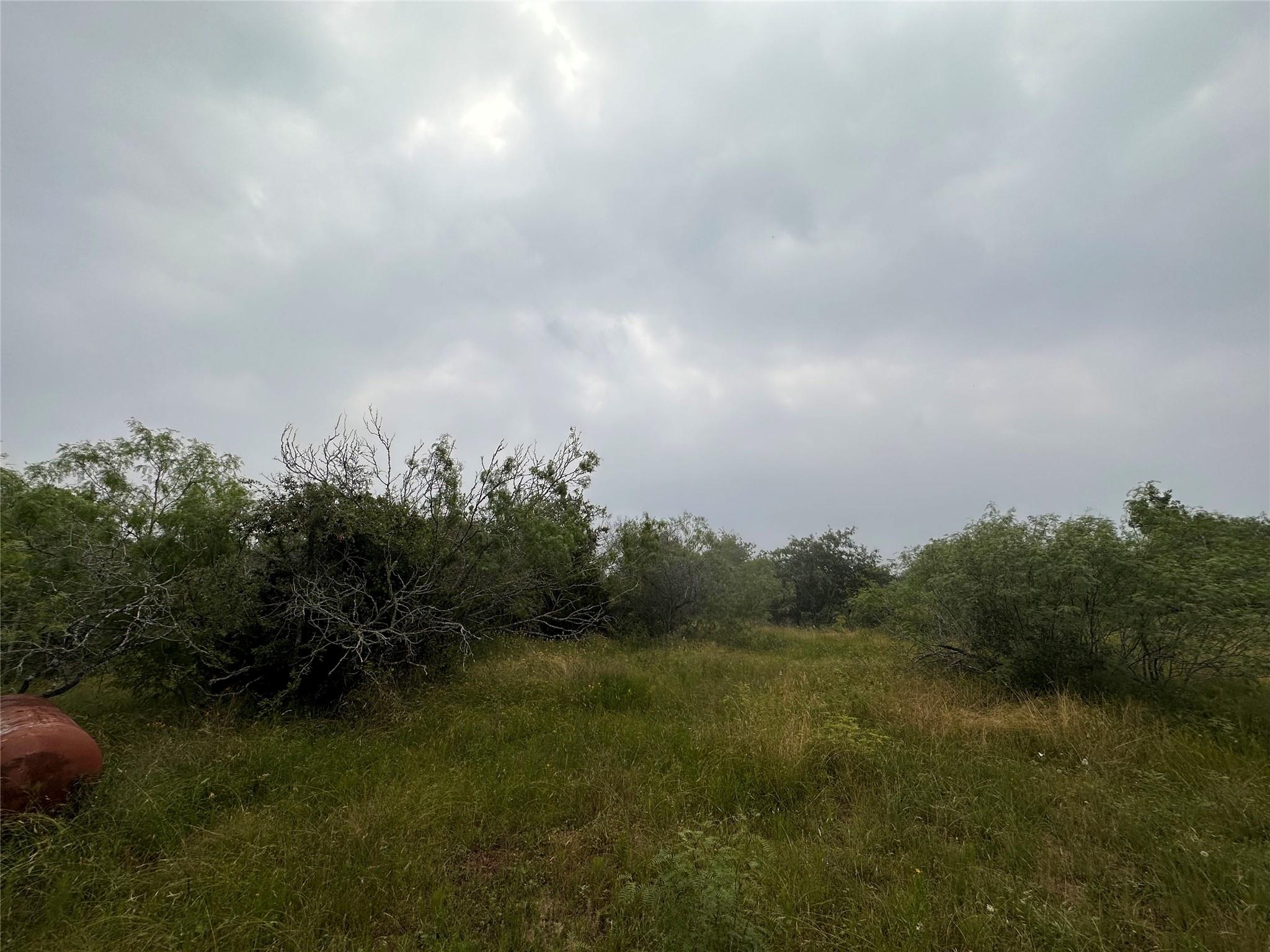 Lot 3 Private Road 4601 Waelder TX 78959