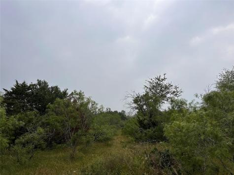 Lot 3 Private Road 4601 Waelder TX 78959